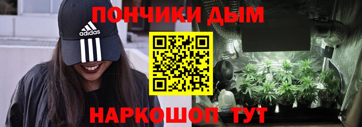 Каннабис план Канск